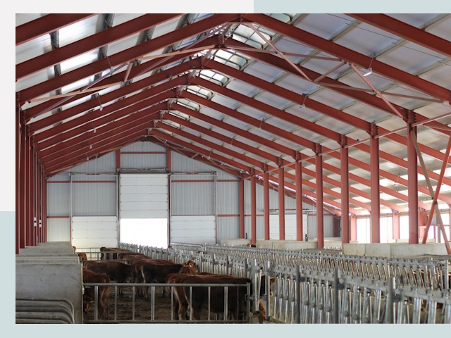 Строительство коровников в Салавате